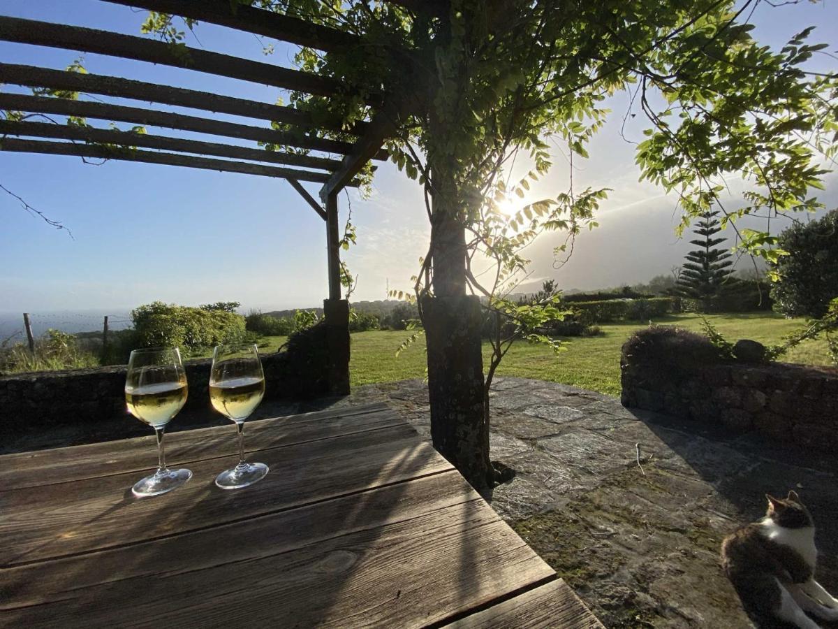 Вилла Quinta Perpetua, Casa Pico Alto do Sul Экстерьер фото