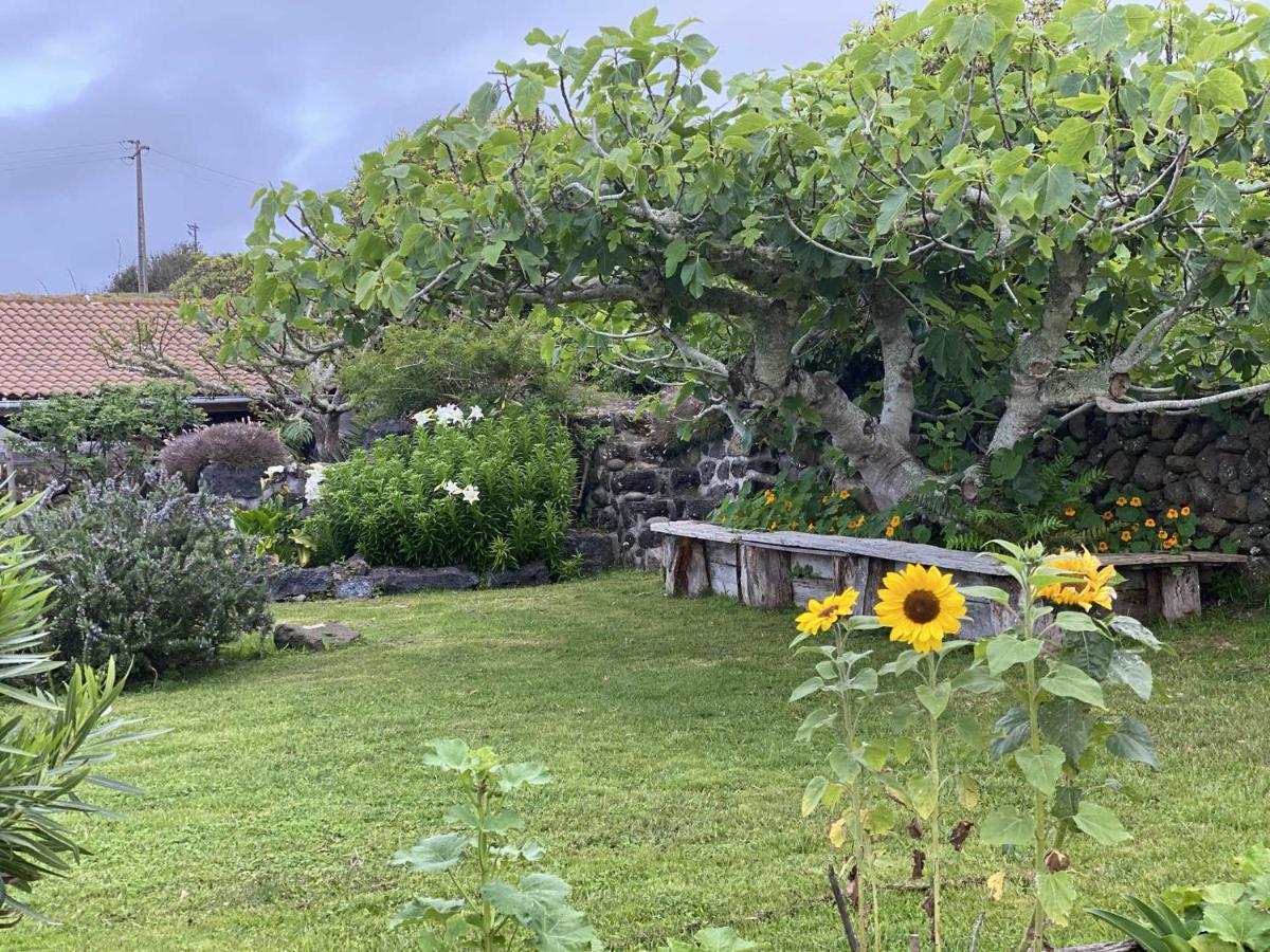 Вилла Quinta Perpetua, Casa Pico Alto do Sul Экстерьер фото